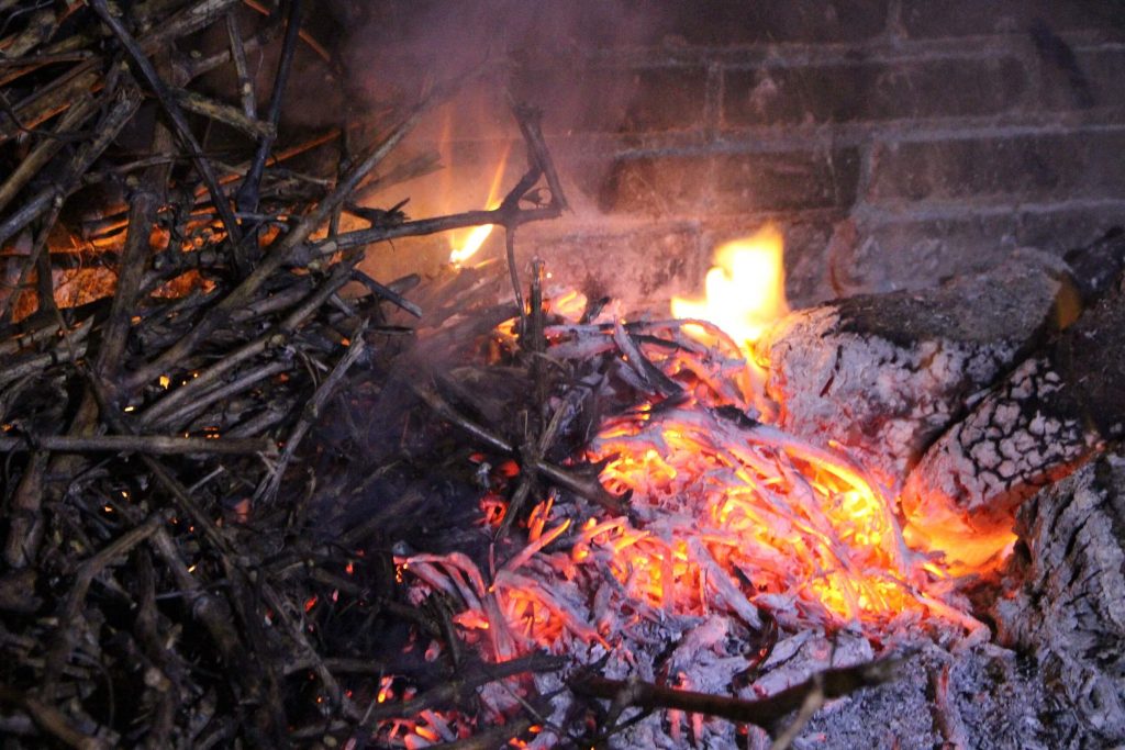 pinchos de lechazo al sarmiento cepas de vid en mesón asador Carlos en Traspinedo Valladolid